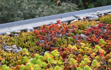 the cost of Blofield Heath green roof installation