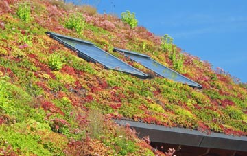 Blofield Heath living roof systems