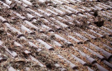 Blofield Heath roof cleaning companies